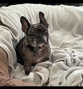 Bonnie