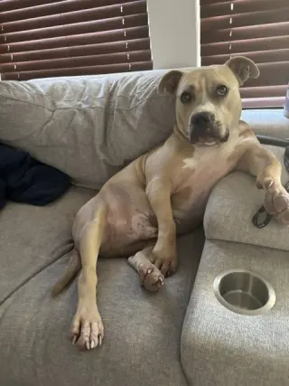WINSTON #7