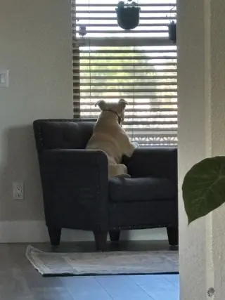 WINSTON #7