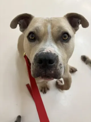 WINSTON #7
