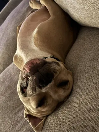 WINSTON #7