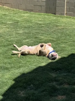 WINSTON #7
