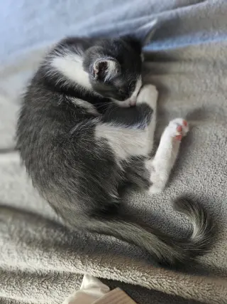 Catrick Swayze