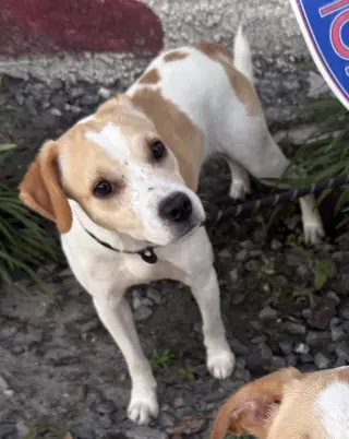 Stretch