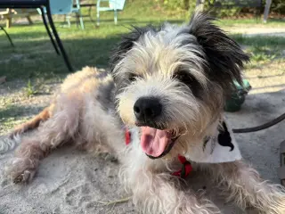 Sam