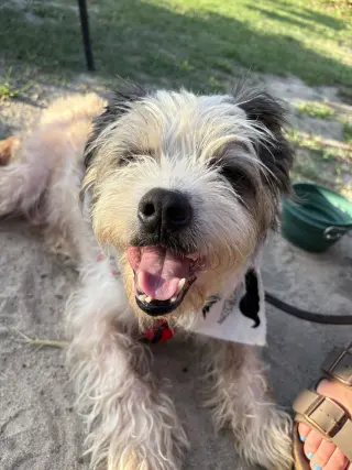 Sam