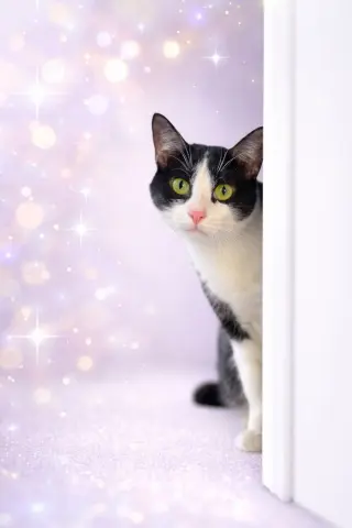 Eve