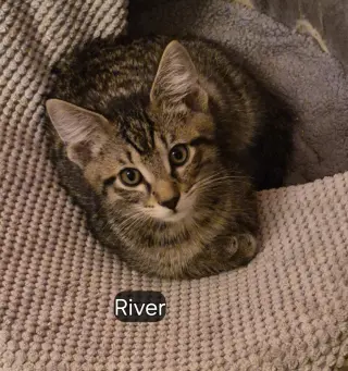 River