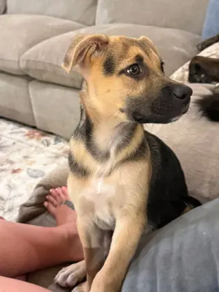 Lucy