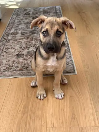 Lucy