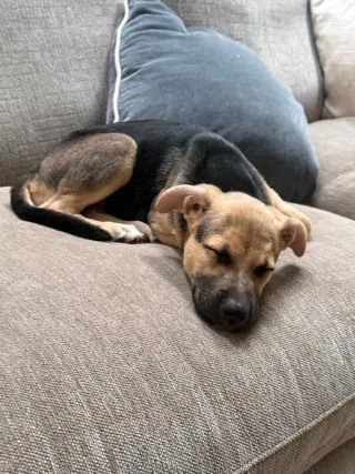 Lucy