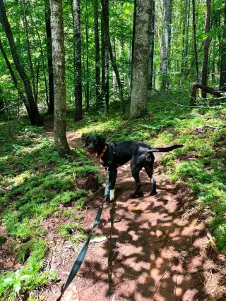 Juno