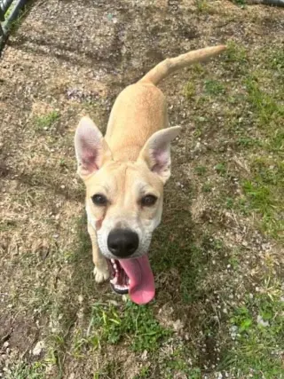 Theodore