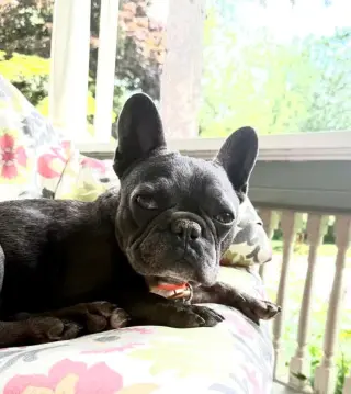 Zig Zag
