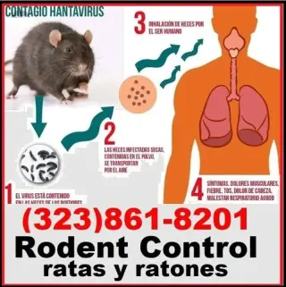 FUMIGACIONES TU HOGAR-NEGOCIOS