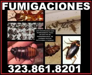 FUMIGACIONES TU HOGAR-NEGOCIOS