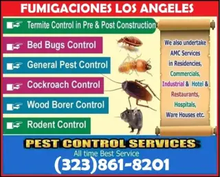 FUMIGACIONES TU HOGAR-NEGOCIOS