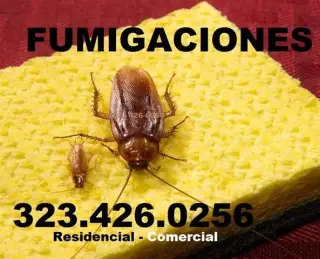 NO LA DEJES ENTRAR A TU CASA.