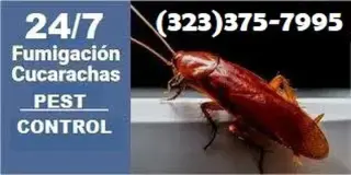 FUMIGACIONES GARANTIZADAS.24/7