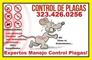 TU HOGAR O NEGOCIO SIN PLAGAS.