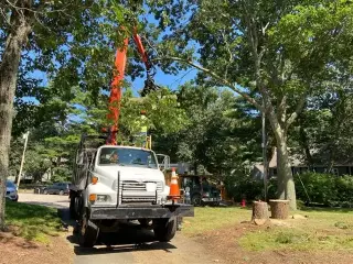 Velasquez Tree Service