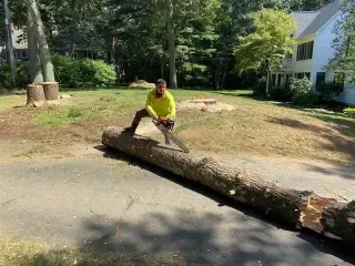 Velasquez Tree Service