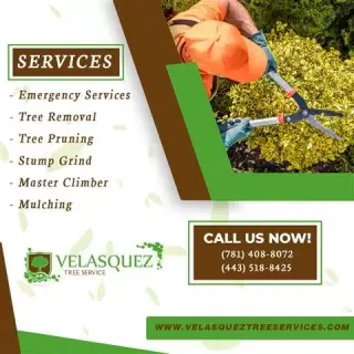 Velasquez Tree Service