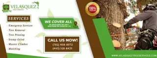 Velasquez Tree Service