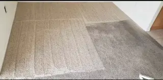 LAVAMOS ALFOMBRAS/SOFAS Y TILE