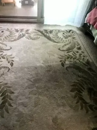 LAVAMOS ALFOMBRAS/SOFAS Y TILE