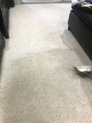 LAVAMOS ALFOMBRAS/SOFAS Y TILE