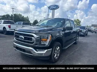 Ford F-150 2023 4x4 XLT 4p SuperCrew 5.5 ft. SB
