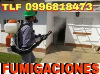 DESINFECCIONES Guayllabamba