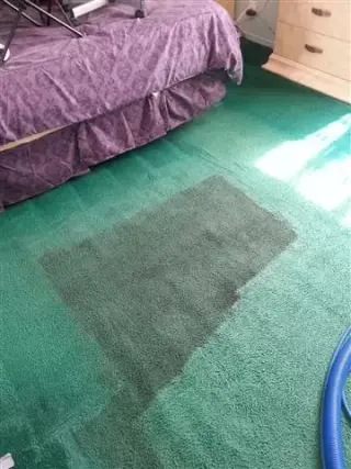 LAVAMOS SU  SOFÁS Y ALFOMBRA$