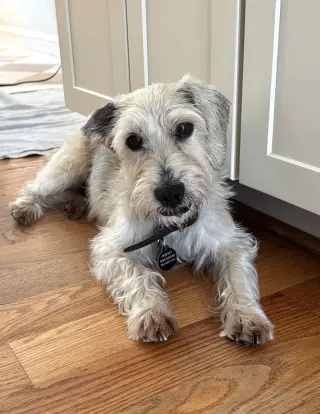 Murphy