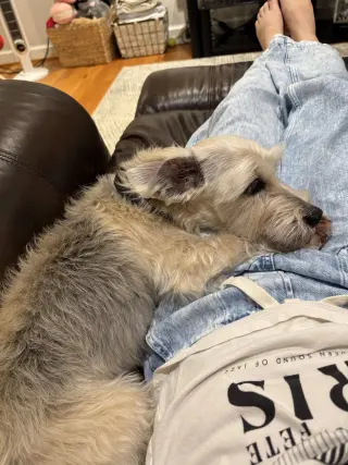 Murphy