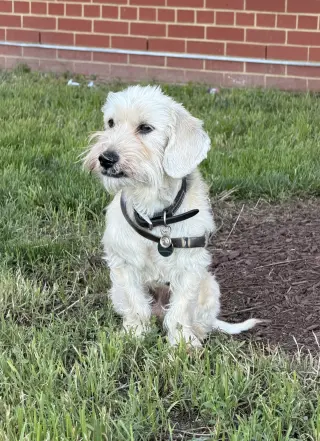 Murphy