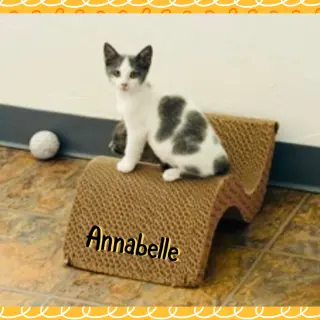 Anabelle