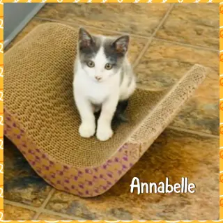 Anabelle