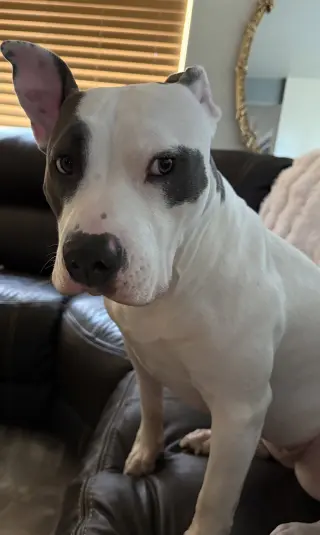 Hera