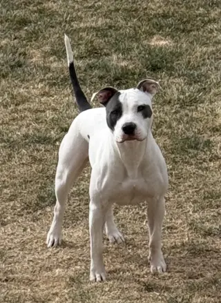 Hera