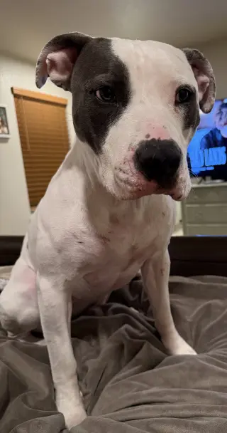 Hera
