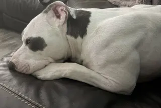 Hera
