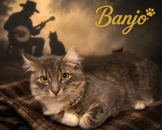 Banjo (FCID# 07/02/2026 - 6 Trainer)