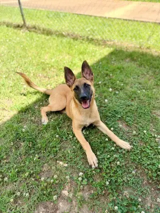 Sadie - located in Mississippi