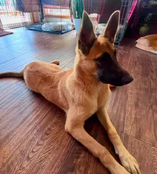 Sadie - located in Mississippi