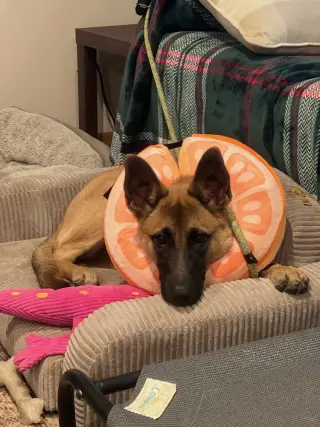 Sadie - located in Mississippi