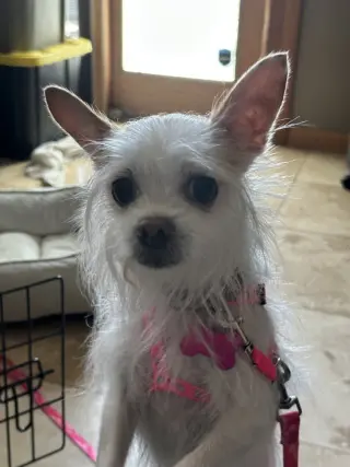 Casey