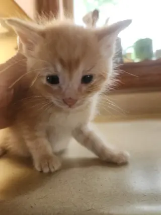 Marty *IN FOSTER*