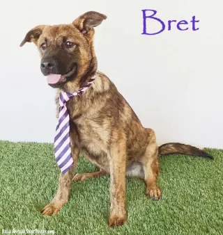 Bret